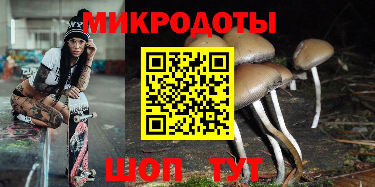 сколько стоит  Вход с VPN  Челябинск  Псилоцибиновые грибы мицелий 